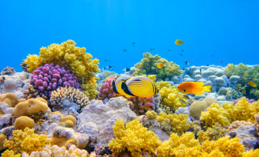 UNFORGETTABLE ANDAMAN