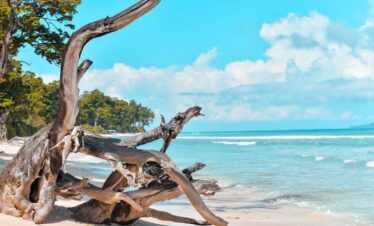 MESMERIZING ANDAMAN