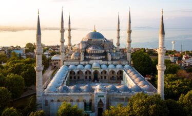 MAGICAL TURKEY