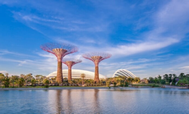 SENSATIONAL SINGAPORE